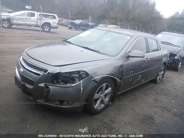 1G1ZC5E14BF113892 - 2011 CHEVROLET MALIBU 1LT 金色 照片 2
