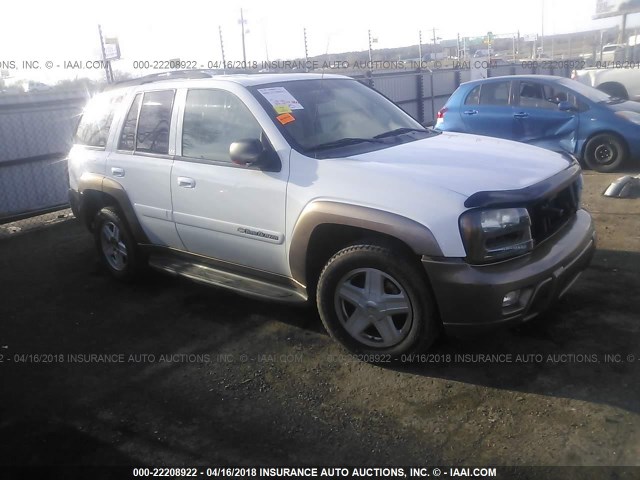 1GNDS13SX22254358 - 2002 CHEVROLET TRAILBLAZER  WHITE photo 1