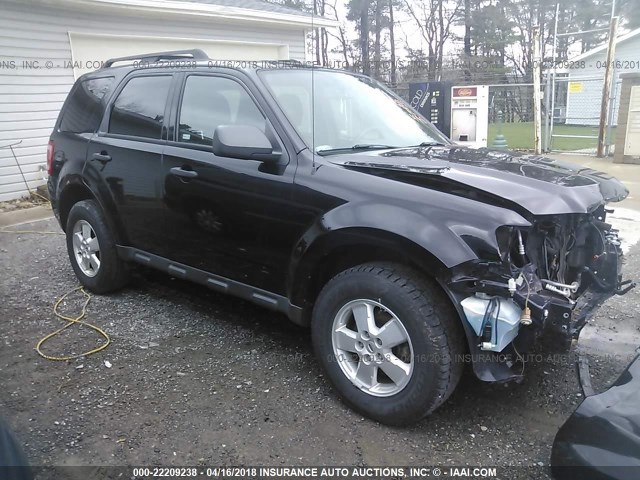 1FMCU0D73AKC31307 - 2010 FORD ESCAPE XLT BLACK photo 1