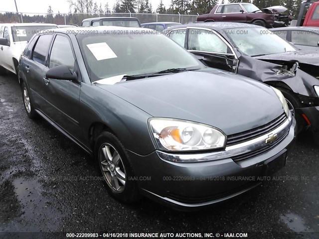 1G1ZT62875F300989 - 2005 CHEVROLET MALIBU MAXX LS 银色 照片 1