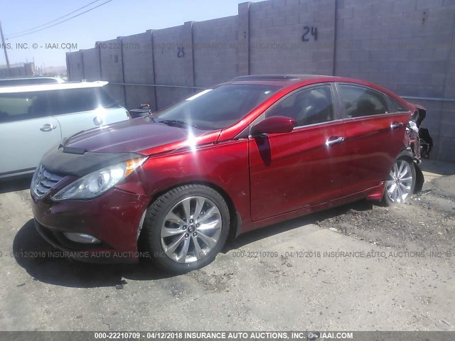 5NPEC4AB5CH486736 - 2012 HYUNDAI SONATA SE/LIMITED RED photo 2