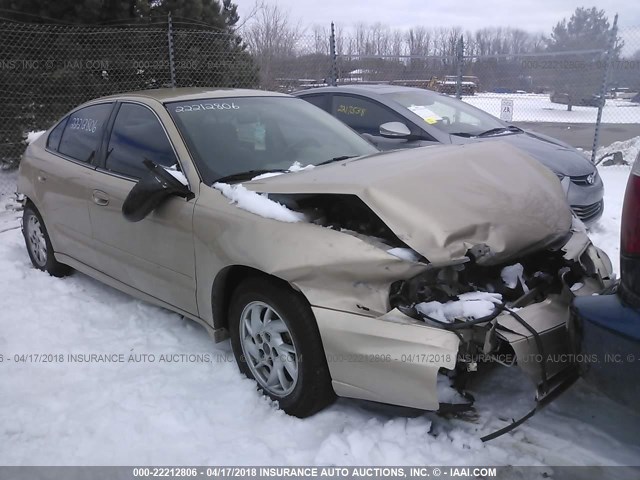 1G2NF52E14C185355 - 2004 PONTIAC GRAND AM SE1 GOLD photo 1