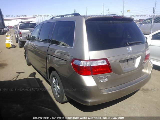 5FNRL38747B403329 - 2007 HONDA ODYSSEY EXL GOLD photo 3