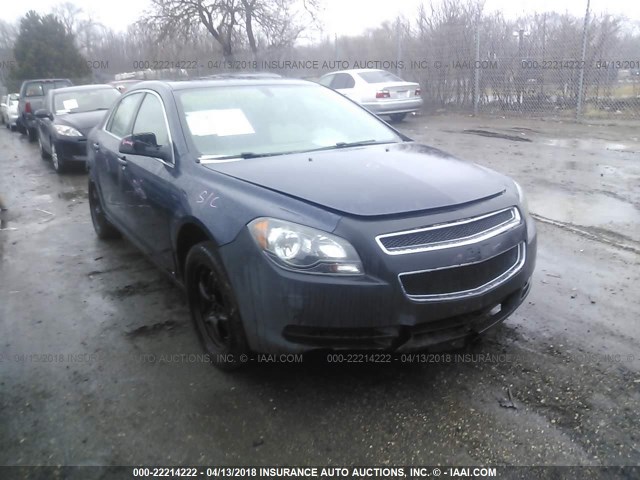 1G1ZB5EB7AF111564 - 2010 CHEVROLET MALIBU LS ლურჯი ფოტო 1