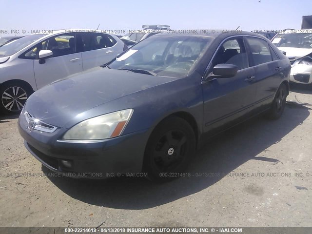 JHMCN36535C007287 - 2005 HONDA ACCORD HYBRID BLUE photo 2