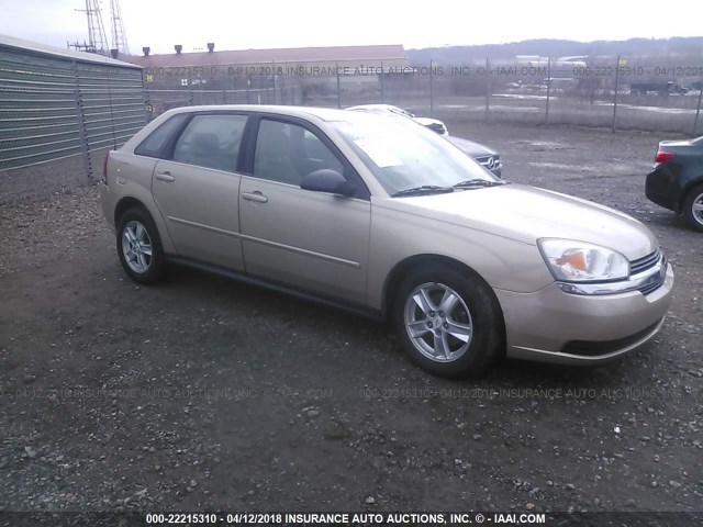 1G1ZT62835F142196 - 2005 CHEVROLET MALIBU MAXX LS GOLD photo 1