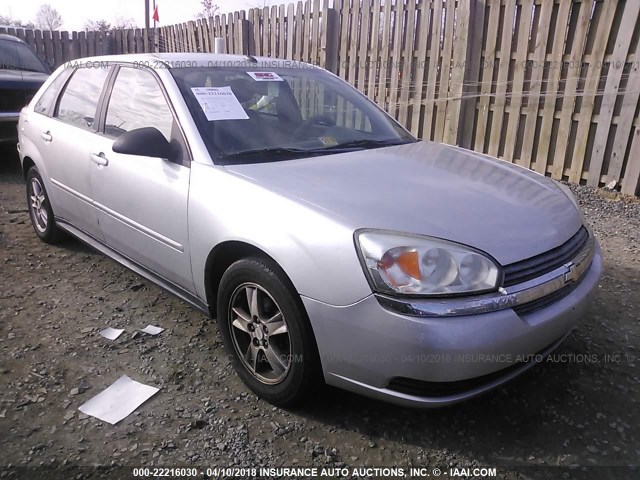 1G1ZT64824F164041 - 2004 CHEVROLET MALIBU MAXX LS 银色 照片 1