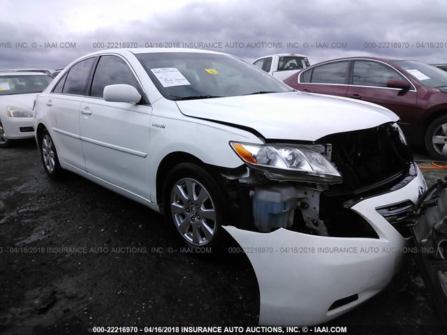 4T1BB46K39U080544 - 2009 TOYOTA CAMRY HYBRID WHITE photo 1