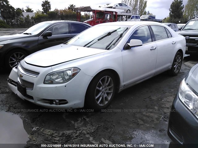 1G1ZK57719F218033 - 2009 CHEVROLET MALIBU LTZ 白色 照片 2