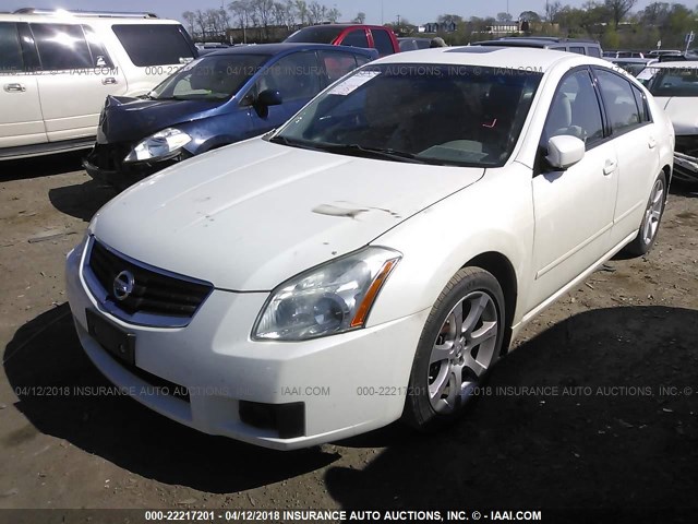 1N4BA41E18C835810 - 2008 NISSAN MAXIMA SE/SL WHITE photo 2