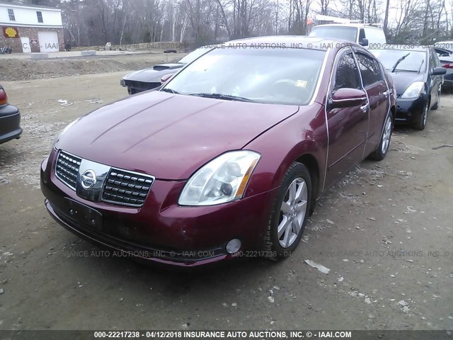 1N4BA41E14C849698 - 2004 NISSAN MAXIMA SE/SL RED photo 2