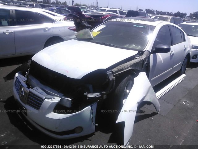 1N4BA41E86C826910 - 2006 NISSAN MAXIMA SE/SL WHITE photo 2