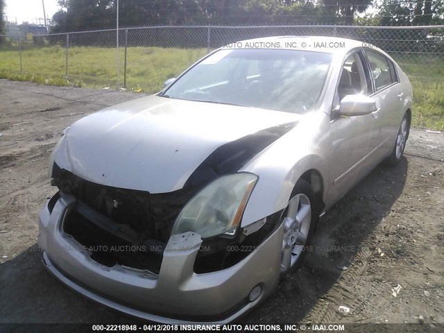 1N4BA41E44C906251 - 2004 NISSAN MAXIMA SE/SL GOLD photo 2