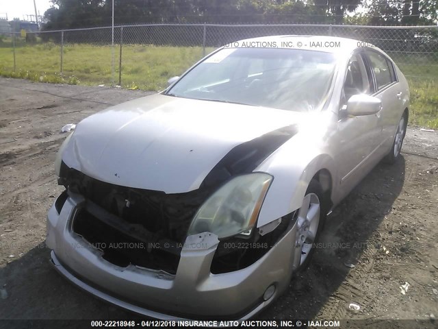 1N4BA41E44C906251 - 2004 NISSAN MAXIMA SE/SL GOLD photo 6