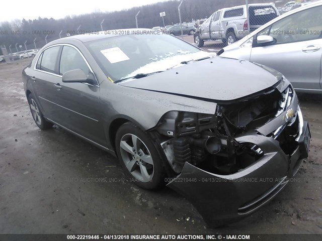 1G1ZC5E15BF273456 - 2011 CHEVROLET MALIBU 1LT 金色 照片 1