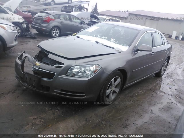 1G1ZC5E15BF273456 - 2011 CHEVROLET MALIBU 1LT 金色 照片 2