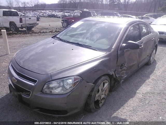 1G1ZB5E09CF338241 - 2012 CHEVROLET MALIBU LS 棕色 照片 6