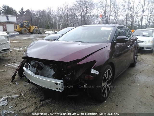 1N4AA6AP8HC445148 - 2017 NISSAN MAXIMA 3.5S/SV/SL/SR/PLAT MAROON photo 2