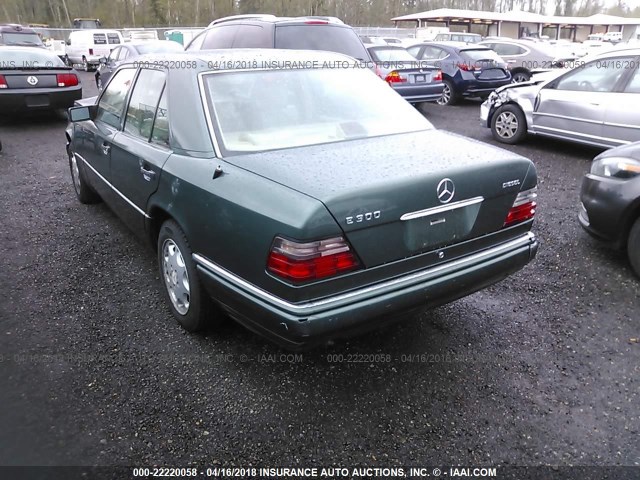 WDBEB31E2SC153183 - 1995 MERCEDES-BENZ E 300D/300D SPECIAL GREEN photo 3