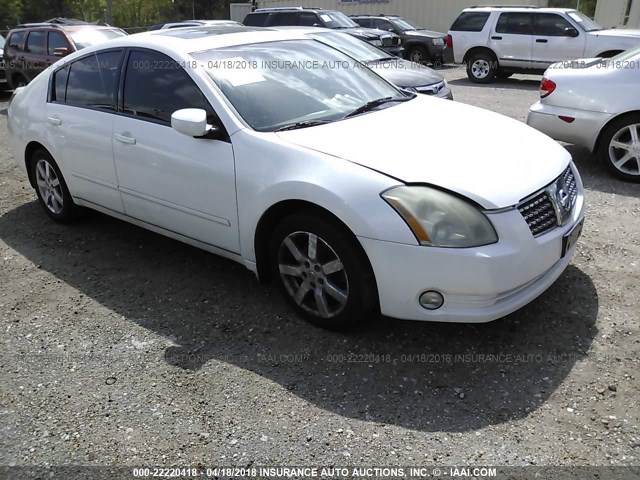 1N4BA41EX5C834845 - 2005 NISSAN MAXIMA SE/SL WHITE photo 1