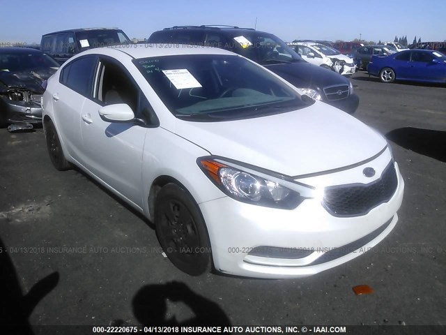 KNAFK4A69E5076015 - 2014 KIA FORTE LX WHITE photo 1