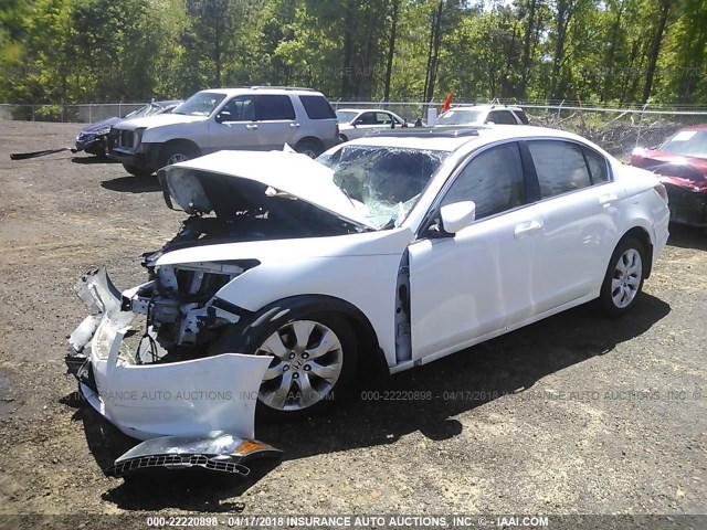 1HGCP26728A101069 - 2008 HONDA ACCORD EX WHITE photo 2