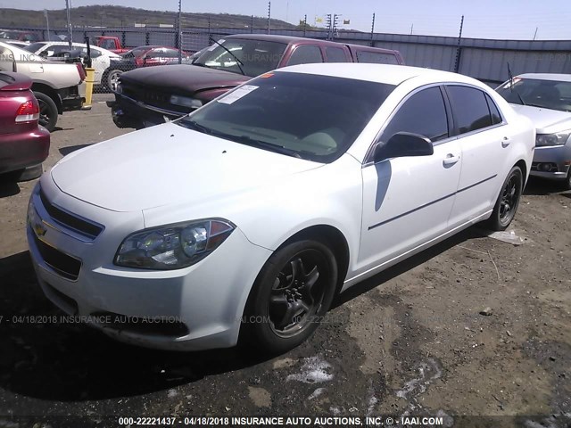 1G1ZA5E05CF388640 - 2012 CHEVROLET MALIBU LS 白色 照片 2