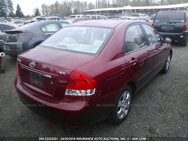 KNAFE122785578575 - 2008 KIA SPECTRA EX/LX/SX MAROON photo 4