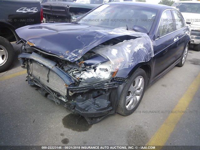 1HGCP36888A045038 - 2008 HONDA ACCORD EXL BLUE photo 2