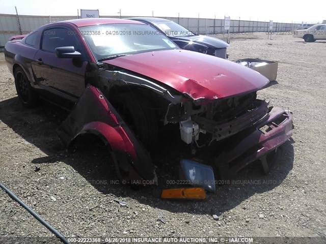 1ZVFT80N555130097 - 2005 FORD MUSTANG MAROON photo 6