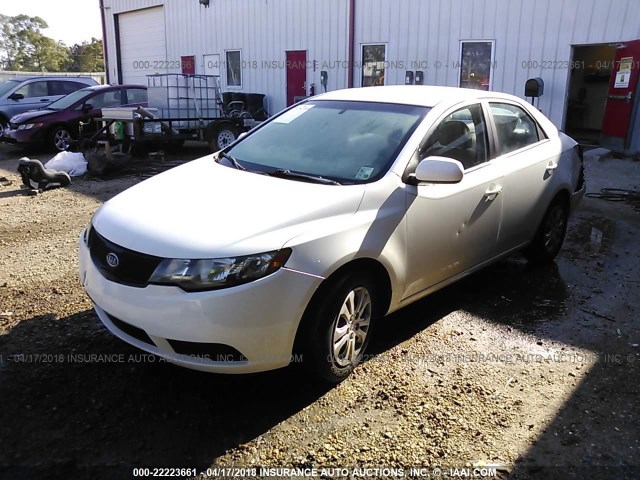 KNAFT4A22A5058847 - 2010 KIA FORTE LX WHITE photo 2