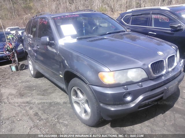 5UXFA53572LP31424 - 2002 BMW X5 3.0I GRAY photo 1