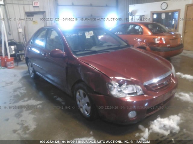 KNAFE121155098812 - 2005 KIA NEW SPECTRA LX/EX RED photo 1