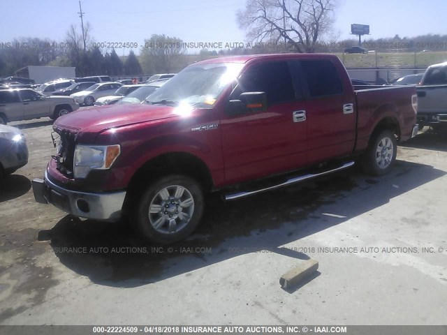 1FTEW1C85AFA98520 - 2010 FORD F150 SUPERCREW RED photo 2