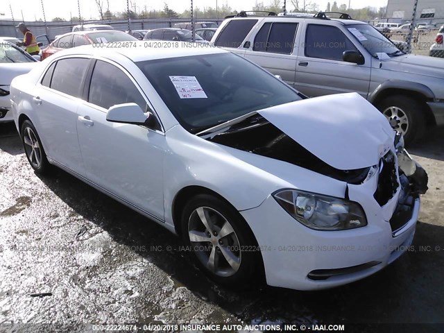 1G1ZC5E16BF179148 - 2011 CHEVROLET MALIBU 1LT 白色 照片 1