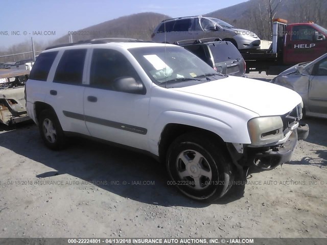 1GNDS13SX32175130 - 2003 CHEVROLET TRAILBLAZER  WHITE photo 1