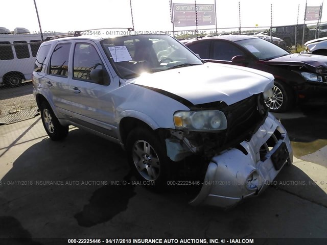 1FMYU04135KC73628 - 2005 FORD ESCAPE LIMITED SILVER photo 1
