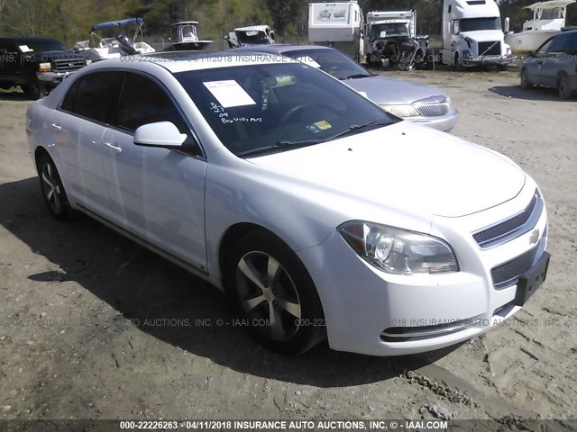 1G1ZH57B994207151 - 2009 CHEVROLET MALIBU 1LT 白色 照片 1