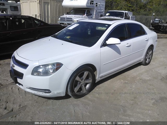 1G1ZH57B994207151 - 2009 CHEVROLET MALIBU 1LT 白色 照片 2