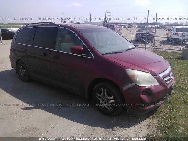 5FNRL38705B017214 - 2005 HONDA ODYSSEY EXL წითელი ფოტო 1
