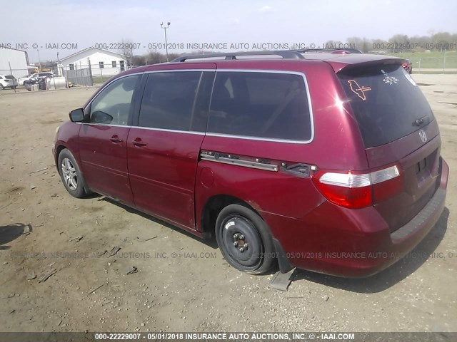 5FNRL38705B017214 - 2005 HONDA ODYSSEY EXL წითელი ფოტო 3