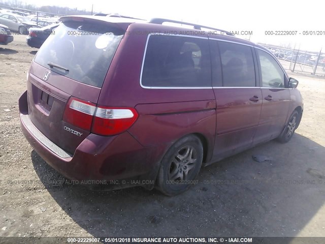 5FNRL38705B017214 - 2005 HONDA ODYSSEY EXL წითელი ფოტო 4