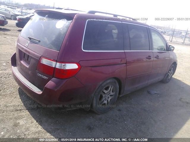 5FNRL38705B017214 - 2005 HONDA ODYSSEY EXL RED photo 4