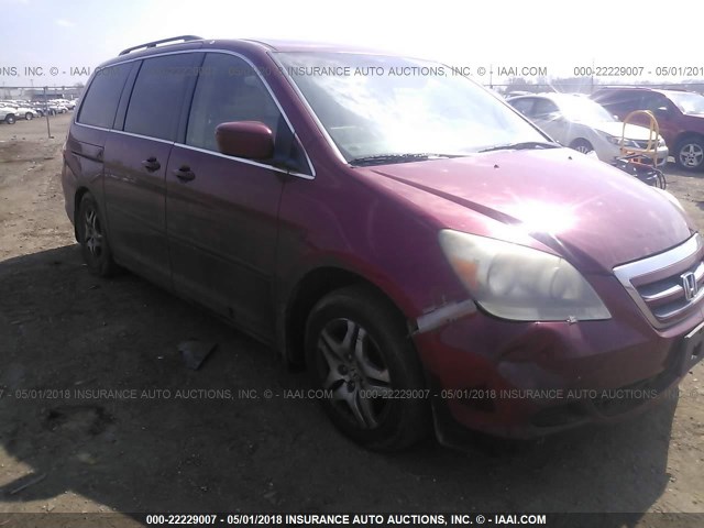 5FNRL38705B017214 - 2005 HONDA ODYSSEY EXL წითელი ფოტო 6