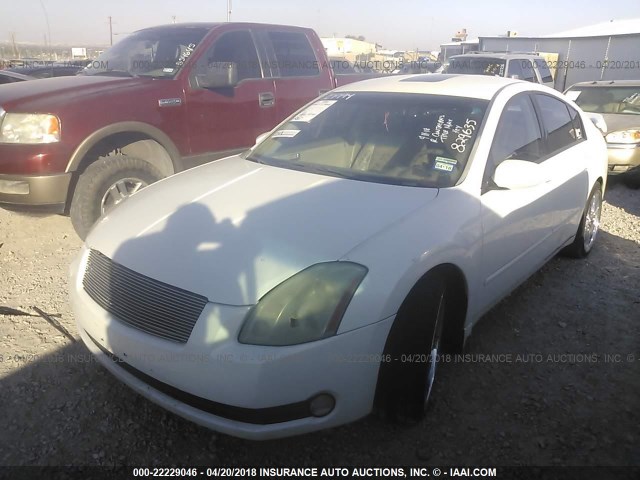 1N4BA41E56C829635 - 2006 NISSAN MAXIMA SE/SL WHITE photo 2