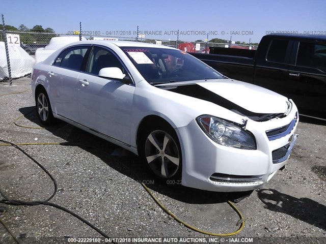 1G1ZC5EU9BF348184 - 2011 CHEVROLET MALIBU 1LT WHITE photo 1