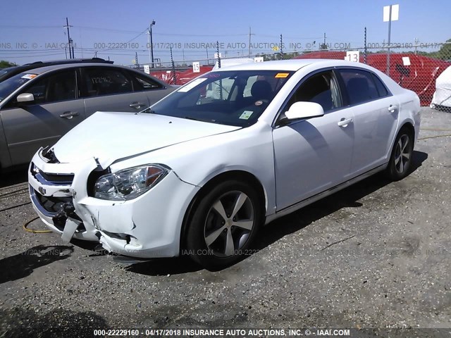 1G1ZC5EU9BF348184 - 2011 CHEVROLET MALIBU 1LT WHITE photo 2