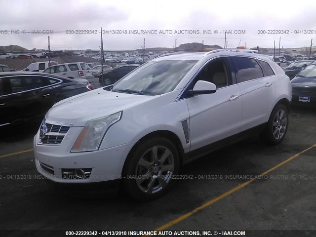 3GYFNBEY0AS602729 - 2010 CADILLAC SRX PERFORMANCE COLLECTION Ақ фото 2