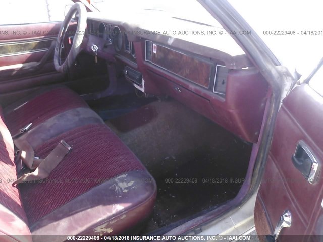 2FABP21B5BX102887 - 1981 FORD FAIRMONT WHITE photo 5