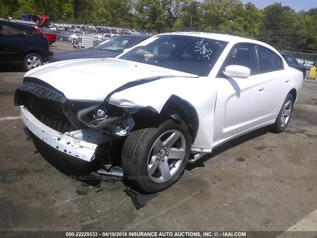 2C3CDXAG1DH646448 - 2013 DODGE CHARGER POLICE WHITE photo 2